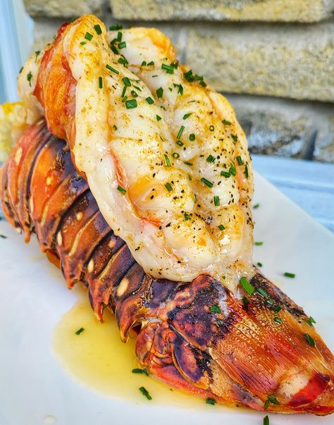 Roast Rock Lobster Tail Baked Lobster Tails, Lobster Recipe, Frozen Lobster, Lobster Recipes Tail, Rock Lobster, Grilled Lobster, Lobster Tail, Lobster Meat, Lobster Recipes