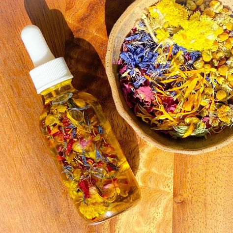 Flower Infused Body Oil, Infused Herbal Oils, Sweet Oil For Earaches, Facial Oil Recipe, Herbal Body Oil, Flower Infused Oil, Herbal Infused Oil, Infused Body Oil, Herbal Living