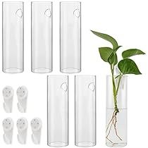 Propagation Containers, Hanging Glass Terrarium, Wall Mounted Planters, Vase Display, Plant Propagation, Garden Wedding Decorations, Glass Flower Vases, Plant Vase, Plants Garden