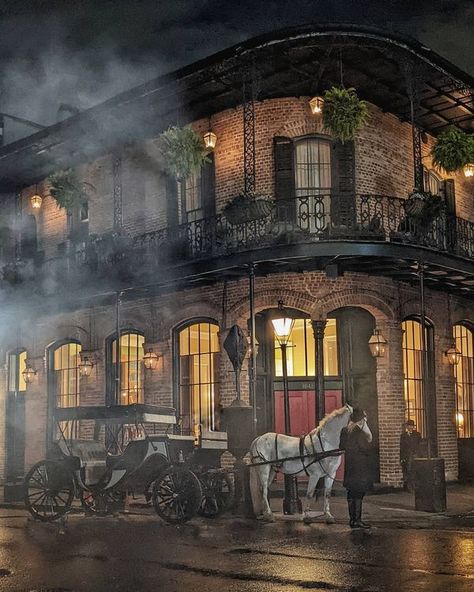 New Orleans Aesthetic, Southern Gothic Aesthetic, Interview With A Vampire, New Orleans Architecture, Vampire Series, Southern Culture, New Orleans French Quarter, New Orleans Homes, The French Quarter