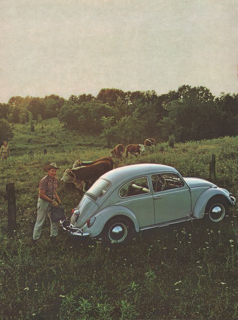 Volkswagen Beetle Vintage, Vw Type 3, Future Transportation, Western Photography, The Beetle, Volkswagen Bug, Vw Aircooled, Vintage Volkswagen, Sales Brochure