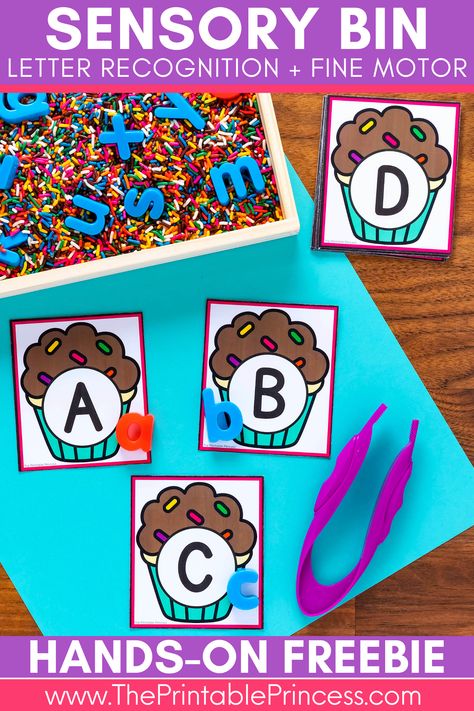 Alphabet Sensory Bin, Kindergarten Sensory, Letter Matching Activities, Letter Recognition Activities, Alphabet Recognition, Language Art Activities, Early Childhood Development, Sensory Development, Childhood Development