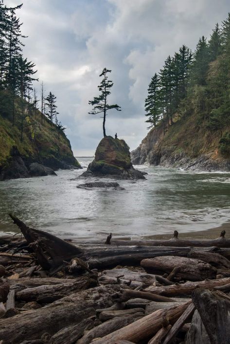 Deadmans Cove Cape Cape Disappointment, Outdoor Photography Tips, Washington State Travel, Landscape Photographers, Outdoor Photography, Washington State, Travel Aesthetic, Pacific Northwest, Nature Pictures