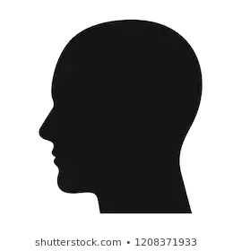 Human Head Images, Stock Photos & Vectors | Shutterstock Black Scene Hair, Portrait Illustrator, Silhouette Face, V Logo Design, Head Profile, Shadow Silhouette, Klimt Art, Face Profile, Silhouette Drawing