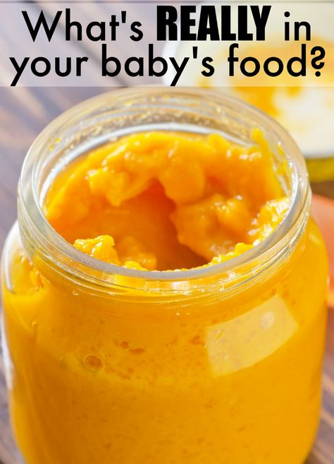 Do you know what's in your baby's food? Now you can know! #ad #CLPBabyFoodMagnified @thecleanlabel Squash Baby Food Recipe, Butternut Squash Baby Food, Baby Food By Age, Raspberry Leaf Tea, Baby Food Storage, Baby Puree, Baby Puree Recipes, Homemade Baby Foods, Homemade Baby Food