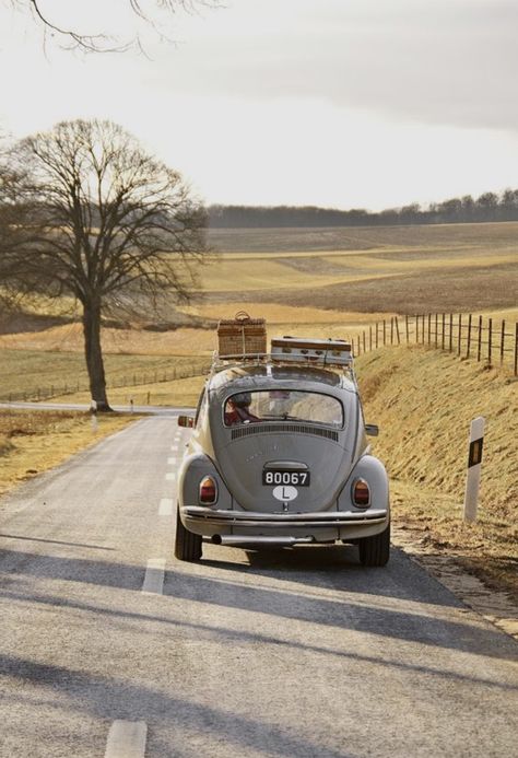 Classic Car Photography, Vw Vintage, 카드 디자인, Soyut Sanat Tabloları, Old Car, Music Design, Vw Bug, Car Photography, Cute Cars