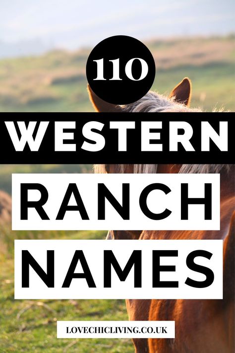 Need a name for your new ranch business? Never fear we have some very cool, badass, western, cattle ranch names and so many more. If your farm business, or ranch property needs a new identity, try out ranch name generator too. Cute Show Steer Names, Texas Cattle Ranch, 4 H Club Names, Western Store Names Ideas, Western Hair Salon Names, Western Names For Business, Country Business Names, Western Salon Names, Property Names Ideas