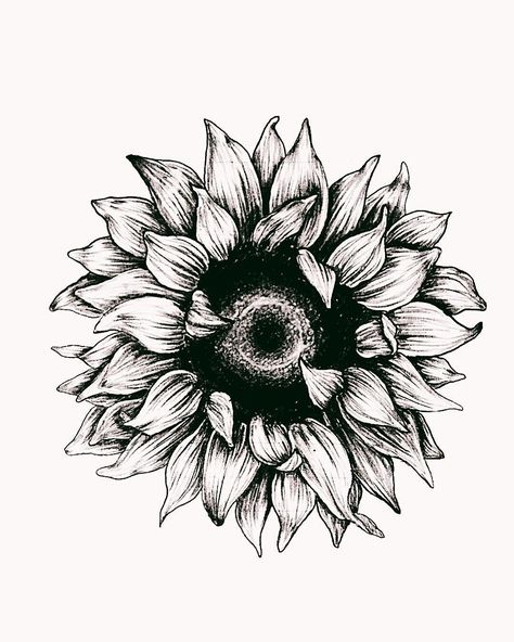 Japanese Sunflower Tattoo, Sunflower Tattoo Men Forearm, Black Grey Sunflower Tattoo, Mens Sunflower Tattoo, Sunflower Tattoo For Men, Dark Sunflower Tattoo, Sun Flower Tattoo Design, Sunflower Drawing Tattoo, Sunflower Tattoo Stencil