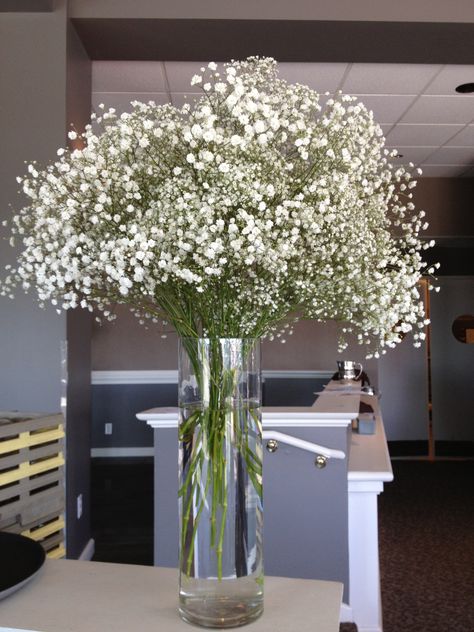 Baby's Breath in Cylinder VAse for Entry of Marina Room Cylinder Vase Centerpiece, Vase Ideas, Big Vases, Company Party, Babies Breath, Baby Breath, Wedding Vases, Flower Centerpieces Wedding, Cylinder Vase