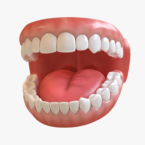 Teeth 3D Model #AD ,#Teeth#Model Nft Drawing, Nft Art Ideas, Nft Illustration, Nft Pfp, Nft Monkey, Nft Ideas, Nft 3d, Teeth Model, Teeth Illustration