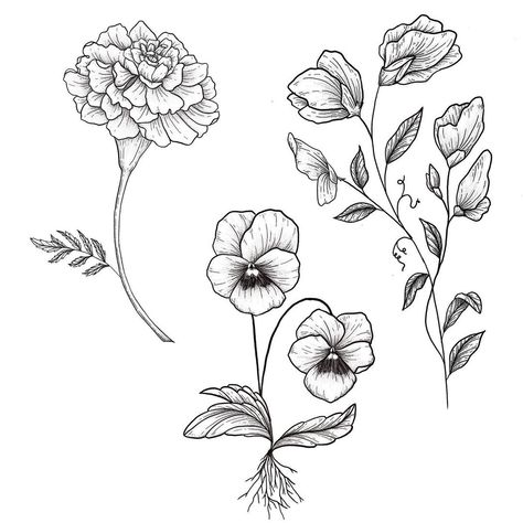 Pansy Tattoo Design, Pansy Outline, Marigold Outline, Pansy Tattoos, Pansy Flower Tattoo, Pansy Drawing, Lisa Tattoo, Sweet Pea Tattoo, Pansy Tattoo