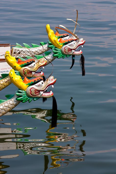 Dragon Boat Race  Chattanooga, TN   Photo by Judy Young Dragon Boating Racing, Boat Racing, Dragon Boat, Boat Race, Chattanooga Tn, Team Photos, Naha, Painting Class, Boating