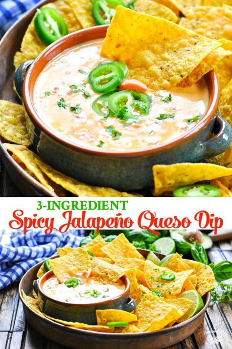 3-Ingredient Spicy Jalapeño Queso Dip is the best queso recipe that you will ever taste, and the easy cheese dip can be made in a slow cooker, in the microwave, or on the stovetop! Easy Appetizers | Crock Pot Dips | Crock Pot Appetizers Jalapeno Queso, Best Queso Recipe, The Best Queso, Best Queso, Easy Cheese Dip, Spicy Queso, Cheese Recipes Appetizers, Chili Cheese Dips, Crock Pot Dips