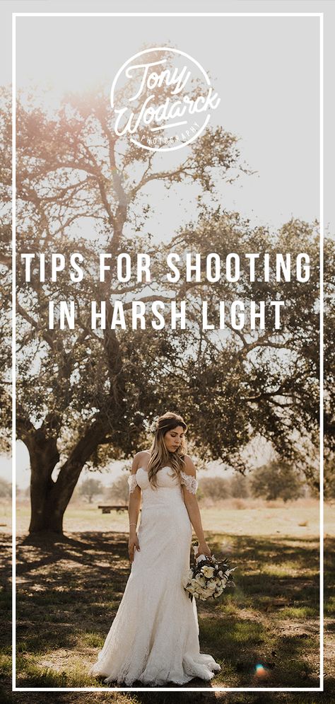 Outdoor Lighting Photography, Harsh Lighting Photography, Event Photography Tips, Harsh Light Photography, Event Photography Ideas, Photography Lighting Tips, Lighting In Photography, Photography Prompts, Harsh Lighting