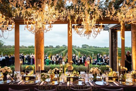 Vineyard Rehearsal Dinner, Vineyard Reception, Vineyard Wedding, Estate Wedding, Wedding Floral, Reception Venues, Rehearsal Dinners, Event Space, The Knot