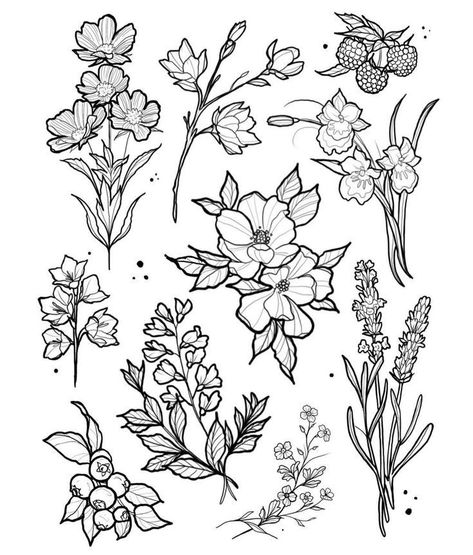 Flash Art Tattoos, Flores Tattoo, Tattoo Outline Drawing, Flash Tattoo Designs, Tattoo Flash Sheet, Botanical Tattoo, Tattoo Portfolio, Ann Marie, Desenho Tattoo