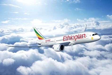 Ethiopian Airlines, Airline Jobs, Hotel Operations, Computer Maintenance, College Diploma, Job Vacancy, Exam Results, Job Portal, October 2022