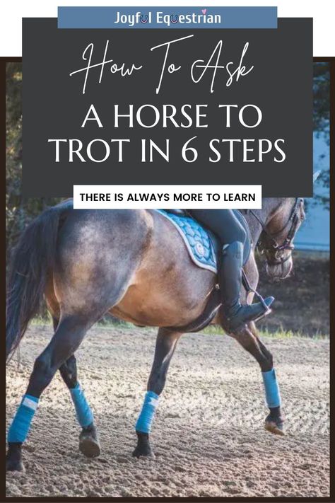 Step up your riding skills with a comprehensive guide on the walk-trot transition. Learn the importance of clear communication and bonding with your horse. #EquestrianSkills #WalkToTrot #JoyfulEquestrian #HorseTraining #TrottingIssues #RidingTips #HorseRiding #WalkTrotTransition #EquestrianTips Dressage Exercises, University Of Massachusetts Amherst, Horse Training Tips, Horseback Rider, University Of Massachusetts, Clear Communication, Horse Training, Horse Care, Positive Reinforcement