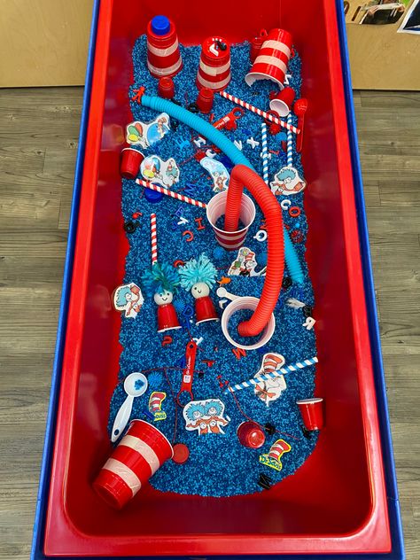 Cat Sensory Table, Science Themed Sensory Bin, Dr Seuss Sensory For Toddlers, Dr Sues Activities, Sensory Table Kindergarten, Cat In The Hat Activities For Toddlers, Sensory Table For Preschool, Theme Sensory Bin Ideas, Cat And The Hat Activities