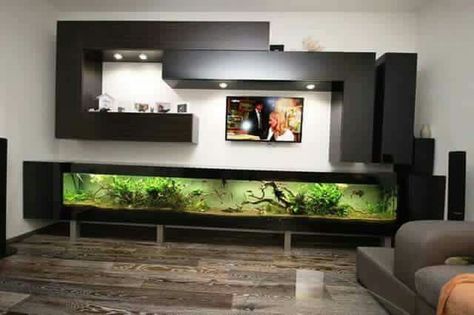 Nice Wall Aquarium, Kolam Koi, Fabric Room Dividers, Amazing Aquariums, Glass Room Divider, Fish Tank Design, Sliding Room Dividers, Living Room Divider, Wooden Room Dividers