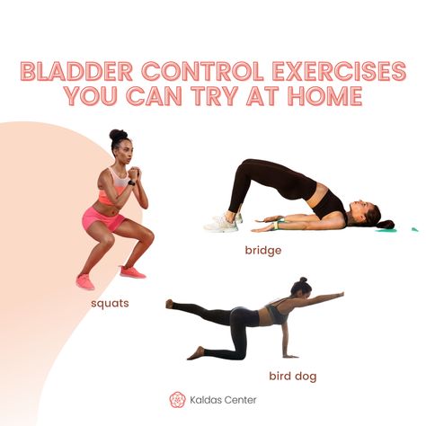 Weak Bladder Exercises, Bladder Control Exercises, Bladder Exercises, Weak Bladder, Exercise Board, Bladder Control, Pelvic Floor Exercises, Floor Exercises, Pelvic Floor Muscles