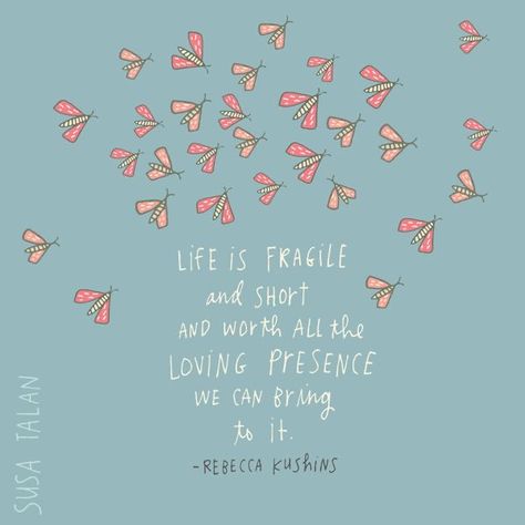 Life Is Fragile, Gratitude Day, Fast Quotes, Western Massachusetts, Wise Words Quotes, Sweet Quotes, Project 365, Very Grateful, Wonderful Words