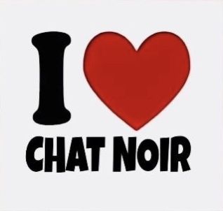 I love Catnoir profile picture Ladybug And Cat Noir Pfp, Cat Noir Funny Pictures, Miraculous Profile Pictures, Miraculous Ladybug Profile Picture, Chat Noir Profile Pic, Me Against The World, Miraculous Ladybug Oc, Super Cat, Avatar World