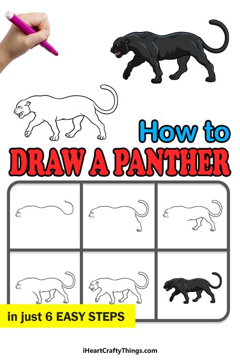 How To Draw A Panther, Cute Panther, Black Panther Drawing, Ancient Rome Projects, Draw Cats, Photo Graphy, Animal Art Projects, Animal Drawings Sketches, Draw Animals