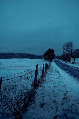 fence out in rural virginia at dusk. Rural Virginia, Cartoon Saloon, Rural Photography, Boxing Day, Boxing, Fence, Virginia, Country Roads, Road