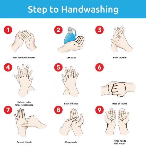 bacteria,bathroom,bubble,care,clean,cleanliness,dirty,finger,foam,hand,health,healthy,human,hygiene,hygienic,infection,liquid,medical,palm,personal,prevention,protection,sanitary,soap,tap,vector,wash,washroom,water,wet Roadmap Infographic, Hand Washing Poster, Bubble Png, Strawberry Background, Hand Health, Hand Clipart, Timeline Design, Photos For Profile Picture, Free Vector Graphics