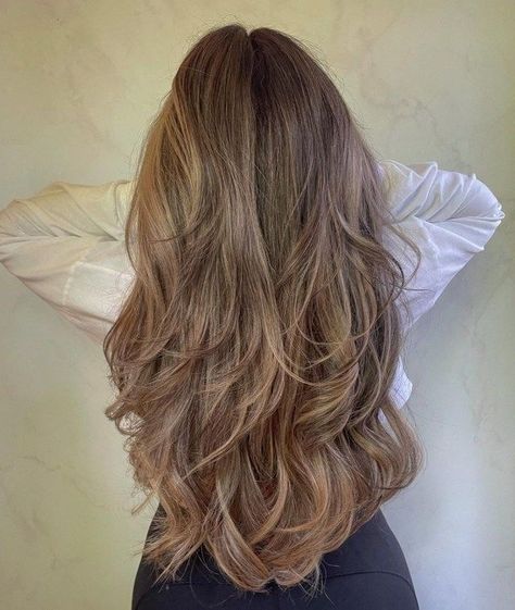 Solid Color Light Brown Hair, Light Brunette Hair Balayage, Sandy Light Brown Hair, Brown/blonde Hair, Light Brown Hair Inspiration, Light Brown Natural Hair, Light Ashy Brown Hair, Ash Light Brown Hair, Mousy Brown Hair With Highlights