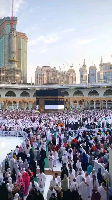 Video Masjid, Mecca Hajj, Madina Video, Hajj Video, Madina Video Masjid Nabawi, Islamic Background Vector, Masjid Nabawi, Best Pov, Medina Mosque