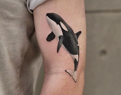 orca tattoo design idea 6 Orca Tattoo Men, Orca Tattoo Design, Orca Whale Tattoo, Killer Whale Tattoo, Orca Tattoo, Magnolia Tattoo, Whale Tattoos, Tattoo Design Ideas, Orca Whales