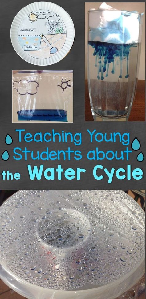 Preschool Water Cycle, Water Cycle Experiments, Water Cycle In A Bag, Water Cycle Game, Water Cycle Anchor Chart, Water Cycle Craft, Water Cycle Lessons, Water Cycle For Kids, Water Cycle Model