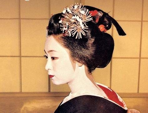 Traditional Asian Hairstyles, Japanese Dress Kimono, Art Assignments, Memoirs Of A Geisha, Beautiful Kimonos, Film Inspiration, المملكة العربية السعودية, Womens Kimono, Asian Hair