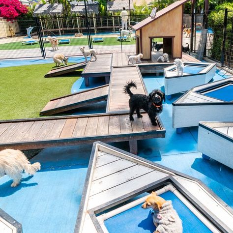 Paradise Ranch Pet Resort Dogs Park Design, Dog Daycare Design Pet Resort, Dog Hotel Ideas Pet Resort, Doggie Playground, Luxury Dog Boarding, Dog Park Design, Dog Daycare Design, Dog Resort, Kennel Business