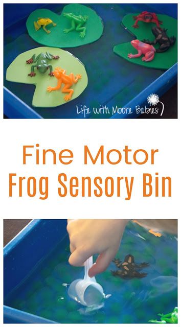 Frog Sensory Bin that allows for fine motor practice too! #sensory #finemotor #kidsactivities Frog Activity, Pinworms In Children, Spring Sensory, Frog Activities, Fine Motor Practice, Lifecycle Of A Frog, Sensory Input, Fine Motor Activities For Kids, Frog Theme