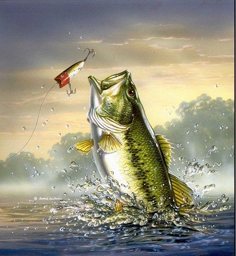 Bass Fishing Pictures, Whimsical Fish, Fish Craft, Fishing Art, Cleaning Fish, Fish Artwork, Fish Wall Decor, Fishing Pictures, Fish Wallpaper