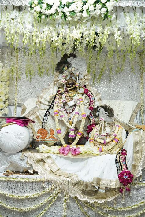 Radhavallabh Shree Harivansh, Radha Vallabh Ji Vrindavan, Radha Vallabh Ji, Radhavallabh Ji, Radhavallabh Lal, Vrindavan Photography, Krishna Pic, Radhe Govind, Vrindavan Photography Pictures