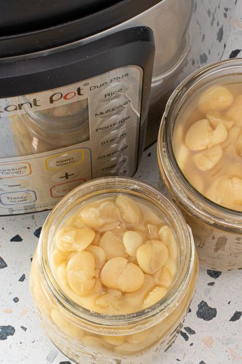 Pressure Cooker Lima Beans, Dry Lima Beans Instant Pot, Instapot Lima Beans Dry, Large Lima Beans Instant Pot, Dried Lima Beans Instant Pot, Lima Beans In Instant Pot, Baby Lima Beans Instant Pot, Lima Bean Recipes Instant Pot, Instant Pot Lima Beans Dry