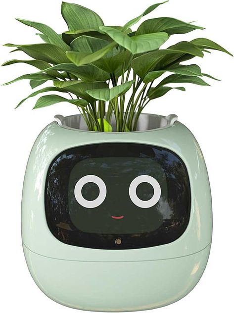 NEWS – Say hello to AMPULLA Ivy, the smart flowerpot. AMPULLA is like a Tamagotchi, but for plants. This cute little flower pot has a face that can show over 70 expressions to let you know the health status of your leafy friend. How does it do this? It has 7 sensors that track temperature, … Can this cute little smart flowerpot turn your black thumb to green? Read More Cool Gadgets On Amazon, Small Flower Pots, App Ios, Modern Planters, Self Watering Planter, Different Emotions, Green Gifts, Plant Needs, The Environment