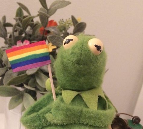 Sapo Kermit, Kermit Meme, Kermit Funny, Frog Meme, Rpg Characters, Gay Aesthetic, Gay Memes, Kermit The Frog, 웃긴 사진