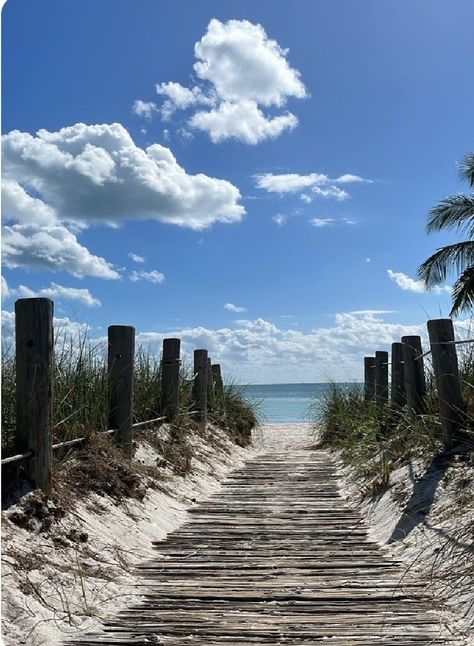 Beach Pathway, Path Art, Beach Path, Art Photography, Photography, Art