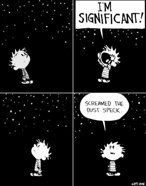 Existentialism does not believe we are put here for a reason. It states that we need to give ourselves a reason and even then, even if we make something big of ourselves, we will still only be as important as a speck of dust. One may be remembered for a while, but not forever. Calvin And Hobbes Quotes, Calvin And Hobbes Comics, Calvin And Hobbes, Fun Comics, Someecards, Comic Strip, Make Me Smile, Geek Stuff, Universe