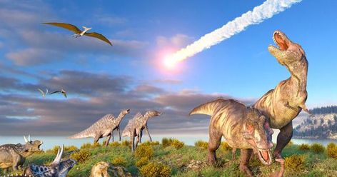 The Day The Dinosaurs Died, Told In Horrifying New Detail السلسلة الغذائية, Dinosaurs Extinction, Dinosaur History, Tata Surya, History Of Earth, All Dinosaurs, Kota Tangerang, Planetary Science, Earth Atmosphere