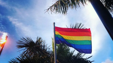 Understanding how gender identity and sexuality differ. Gender Expression Vs Gender Identity, Gender Expression, Gender Nonconforming, Gender Norms, Scary Mommy, Gender Identity, We Need, Wind Sock