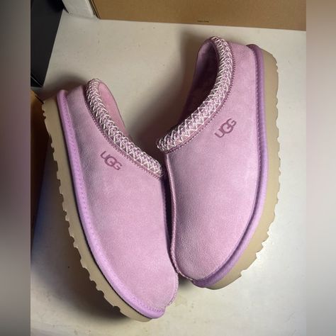 UGG Tasman women’s slippers primrose Primrose Tasman Uggs, Ugg Slippers Purple, Purple Tasman Uggs, Ugg Outfits Black, Platform Tasman Uggs, Purple Ugg Slippers, Tasman Ugg Outfit, Ugg Platform Outfit, Low Uggs