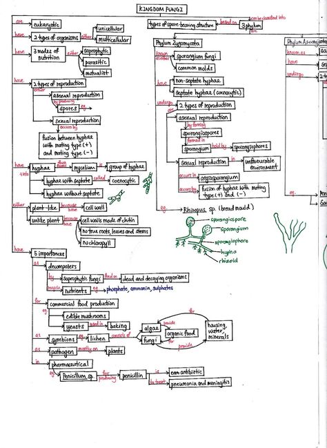 BIOLOGY is to serve mankind...: 2.1 BIODIVERSITY Plant Kingdom Notes Neet, Plant Physiology Notes, Plant Kingdom Notes Class 11, Science Pics, Plant Anatomy, Med School Study, Neet Notes, Biology Plants, Learn Biology