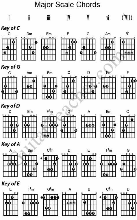 Image from http://guitarteacher.com/wp-content/uploads/2009/02/majorscalechords.gif. Guitar Basics, Chords For Guitar, Guitar Chords And Scales, Guitar Keys, Akordy Gitarowe, Guitar Chord Progressions, Guitar Cord, Learn Guitar Chords, Music Theory Guitar