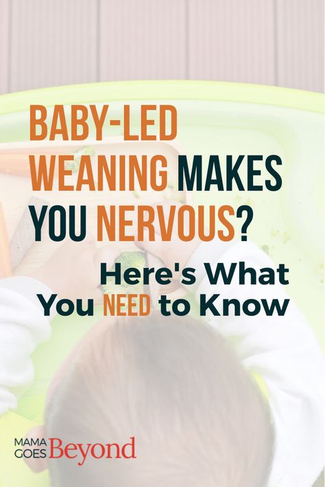 Ideas for Moms Considering Baby Led Weaning via @mamagoesbeyond: This is a guide for moms starting blw with tips on what it is and how to start. It includes suggestions for first foods for six month olds with no teeth, plans for dealing with with gagging and choking fears, and essential blw gear. #babyfood #blw Starting Blw, Baby Led Weaning Ideas, Baby Led Weaning First Foods, No Teeth, First Foods, Baby Led Weaning Recipes, Six Month, Led Weaning, Baby Led Weaning